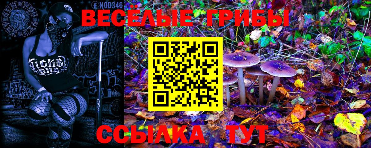 Псилоцибиновые грибы Cubensis  Вход с VPN  Армавир  Галлюциногенные грибы Psilocybine cubensis 